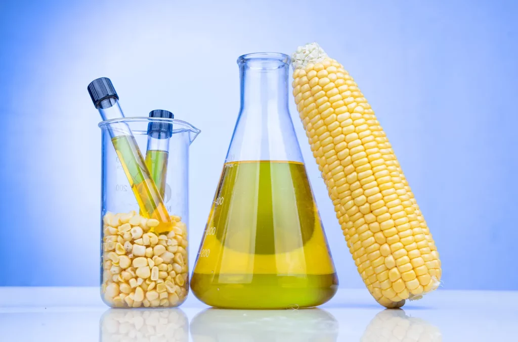 biocarburant éthanol biofioul mais alternative chaudiere